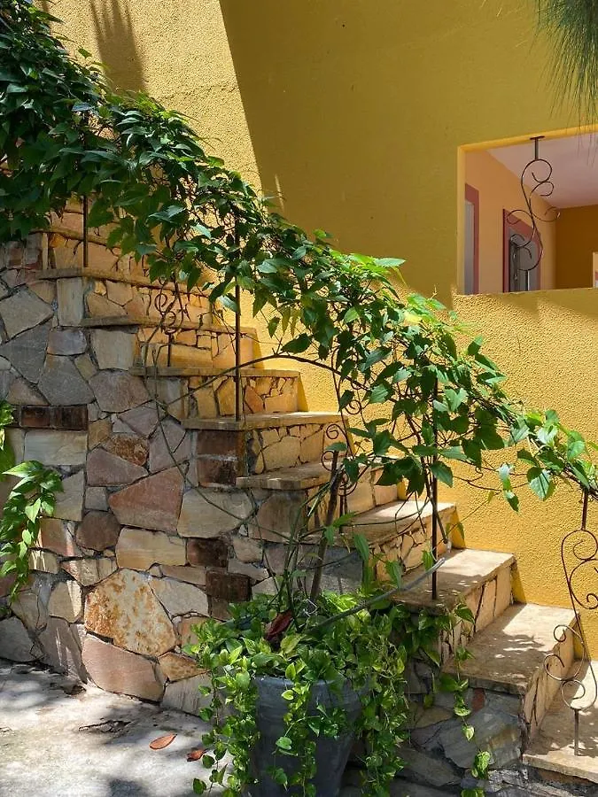 Hotel Pousada Sarue Praia Natal-Rn Brasil